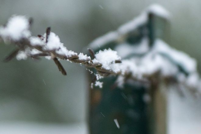 震惊！Avalanche马上迎来暴跌？