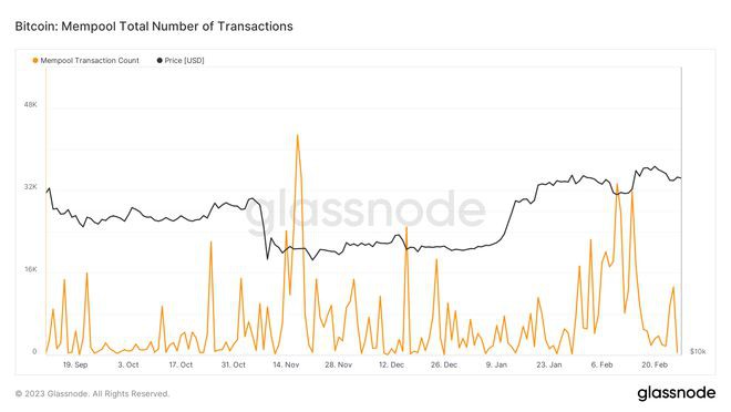 BTC鲸鱼数量缩减至2020年初水平—本周关于比特币的5件事