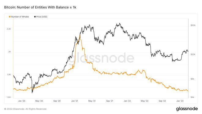 BTC鲸鱼数量缩减至2020年初水平—本周关于比特币的5件事