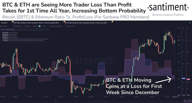 BTC鲸鱼数量缩减至2020年初水平—本周关于比特币的5件事