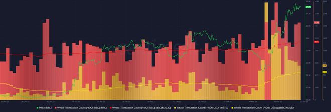 比特币鲸鱼活动在2023年飙升至最高水平说明了BTC的价格