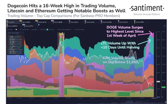 比特币交易量下跌而狗狗币（DOGE）则触及16周新高