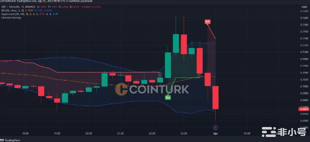 法官一宣震撼市场！为什么 XRP 和山寨币下跌？