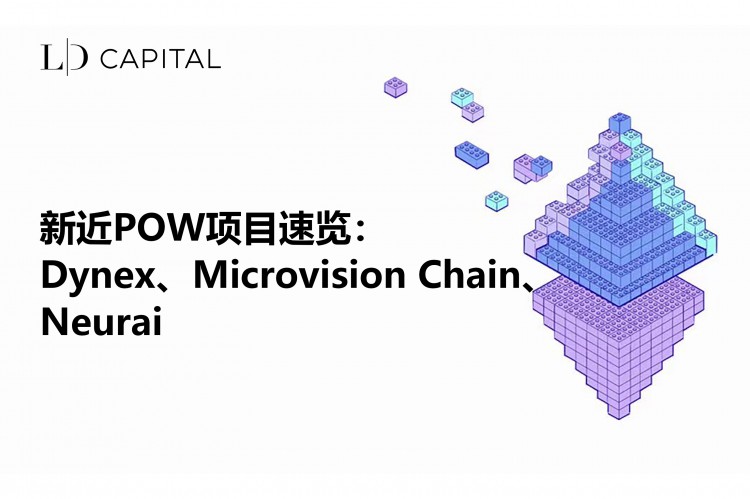 LDCapital：新近POW项目速览