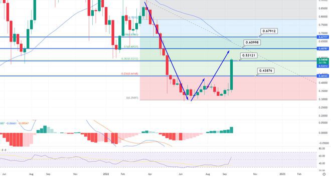 XRP代币价格预测–为什么7天反弹达到63%时