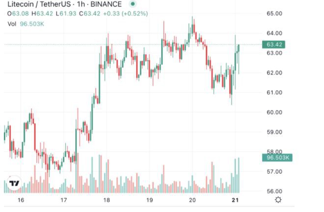 为什么LTC会崛起？LTC 价格预测和投资者的商店