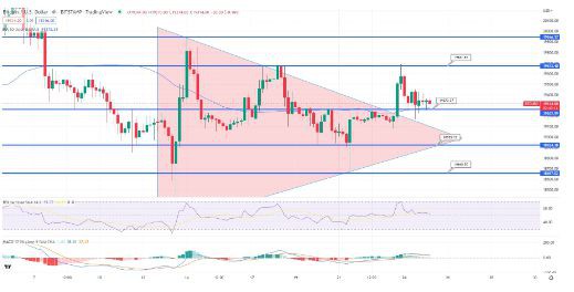 BTC本月将飙升100%吗？