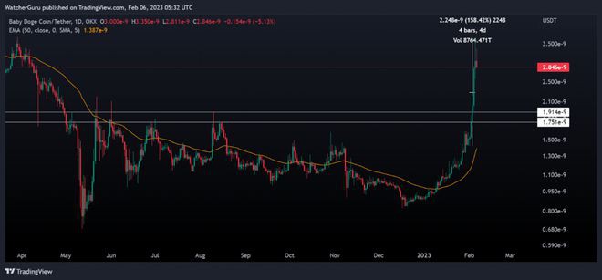 BABYDOGE反弹超过200%进入前100个项目