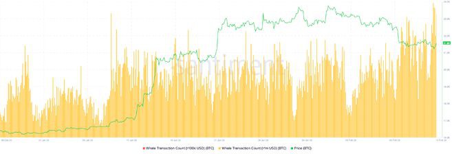 尽管有卖出信号比特币(BTC)鲸鱼仍在逢低买入