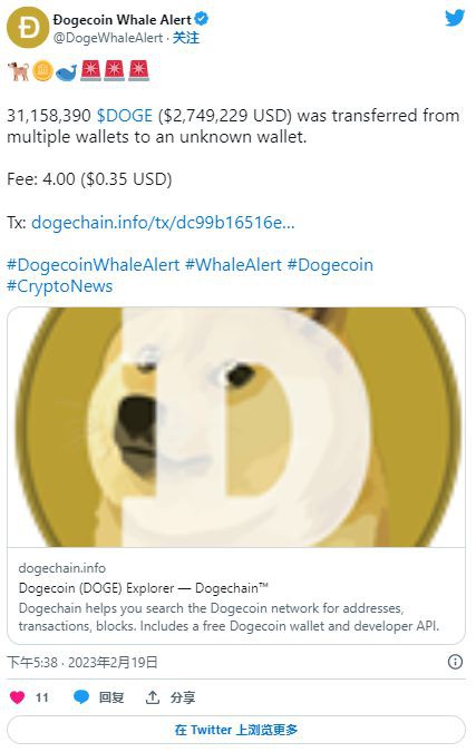 DOGE鲸鱼将数百万代币转移到未知钱包时的狗狗币怎么了？