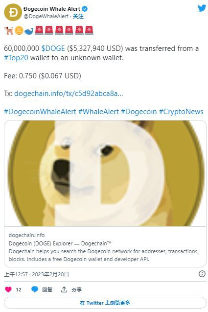 DOGE鲸鱼将数百万代币转移到未知钱包时的狗狗币怎么了？