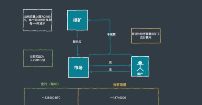 很多项目明明是"大白马"为何Token却跌跌不休？