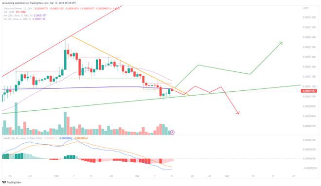 SHIB可能会飙升这是一个可以上涨100倍的Inu代币