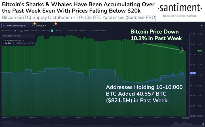 随着BTC增持增加比特币下跌引发鲸鱼的巨大逢低买入时刻