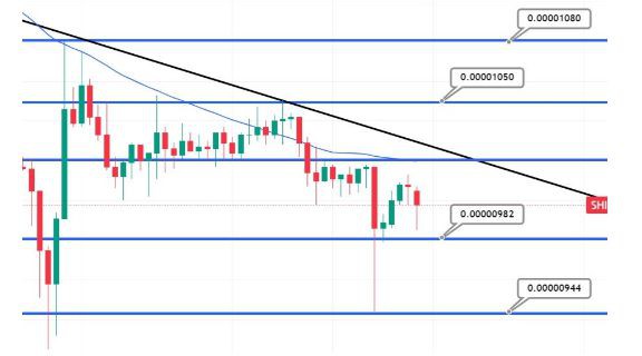 ShibaInu价格预测–SHIB能否超越狗狗币？