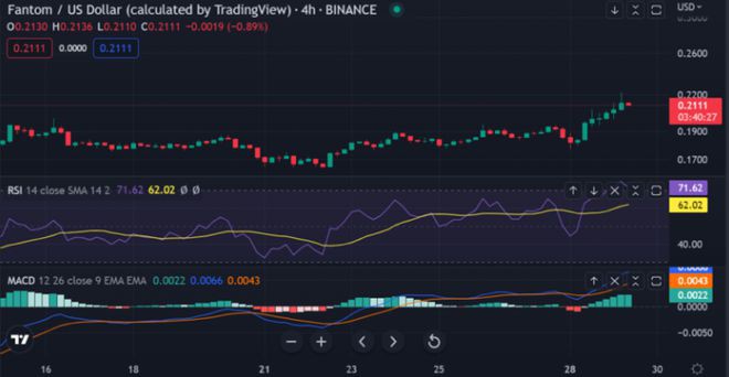 Fantom价格分析：连续牛市后FTM反弹超过16%