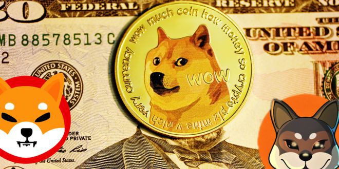 迷因币（DOGESHIB）会是2023年的最佳标的吗？