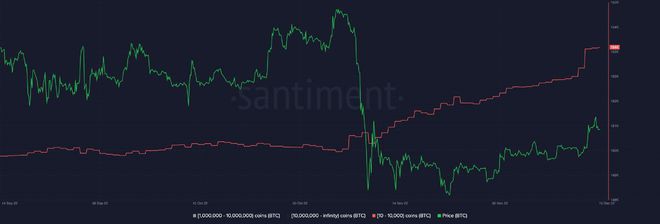 Ghoddusifar预计BTC的价格将进一步下跌