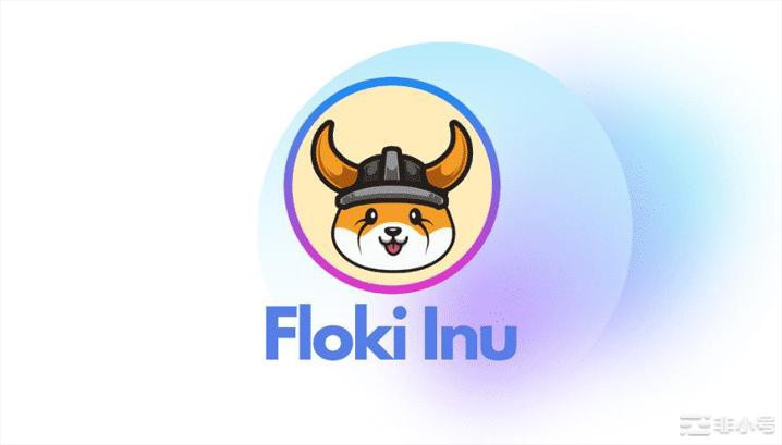 FLOKI：下一个SHIBA？