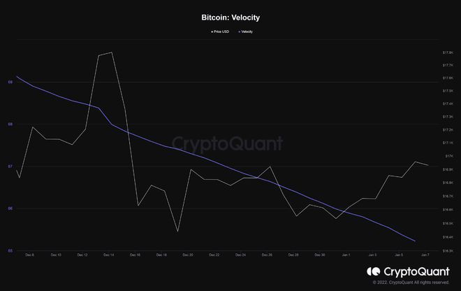 BTC的波动性创下历史新低；这是加密货币狂野西部的终结吗