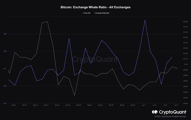 BTC的波动性创下历史新低；这是加密货币狂野西部的终结吗