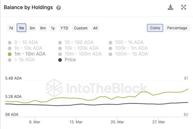 ADA价格面临拒绝：价格会在同一价格水平内整合吗？