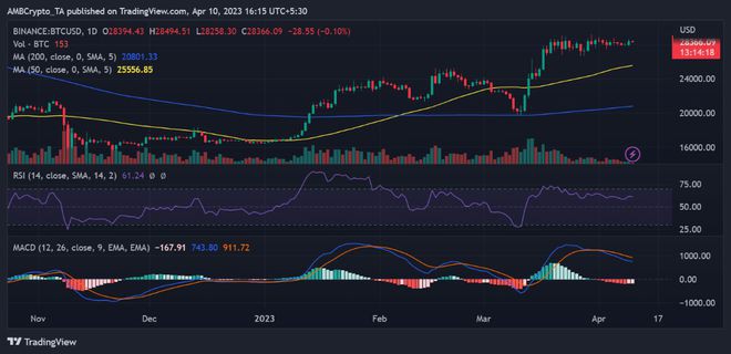 比特币[BTC]：随着hodlers的崛起王币是否大幅飙升