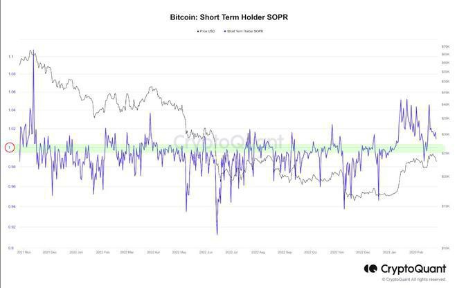 短期比特币[BTC]持有者可能会推动下一次牛市-这是如何