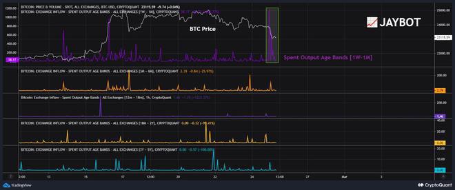 短期比特币[BTC]持有者可能会推动下一次牛市-这是如何