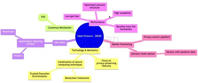 一文对比OasisInjective和Near三条公链