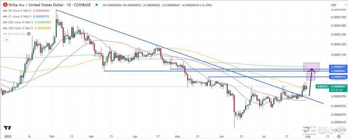  柴犬（SHIB）表现出色！短期价格预测可能会在稍后上涨