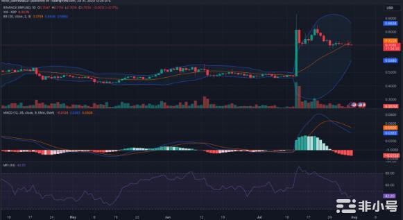 坚持XRP是长期收益的关键吗？