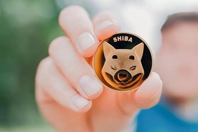 柴犬：只有0.7%的持有人是SHIB亿万富翁