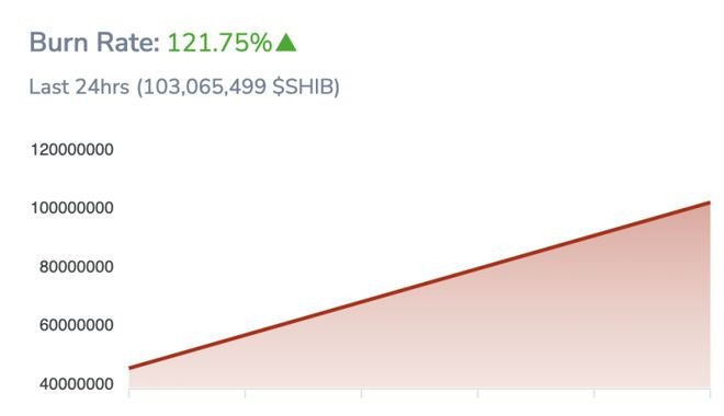 柴犬（SHIB）：价格下跌导致1.04亿代币被烧毁