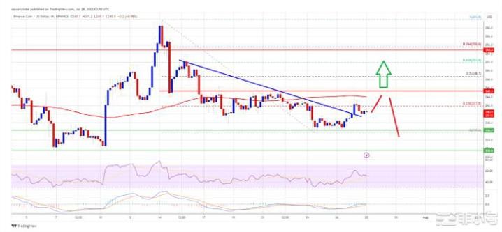 BNB价格再次上涨还是迎来新一轮下跌？