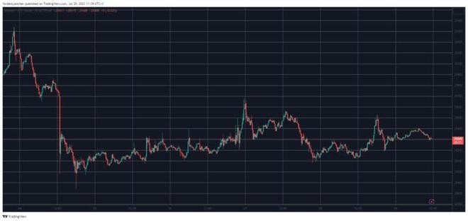 SHIB上涨5%,比特币仍高于2.9万美元