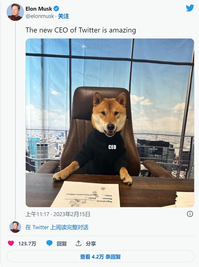 Twitter重塑品牌后DOGE价格暴涨30%爱恨犬也将爆炸