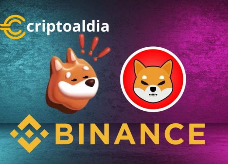 BINANCEREVOLUTIONIZESTHECRYPTOGAME