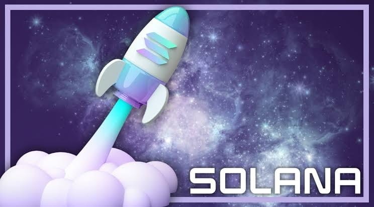 SOLANA2024年火热上涨持有者恭喜