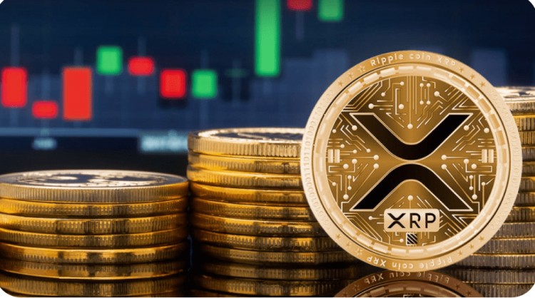 XRP12月底或实现历史首次盈利