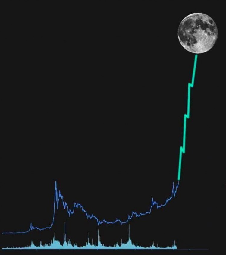 NFP成功关注者使用我的方法从NFP获得6600的利润