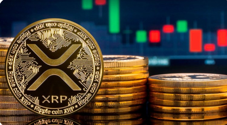 XRP 空头似乎已经掌控了局面，SEO 关注：XRP 牛市打破排名，年尾大幅增长期待。