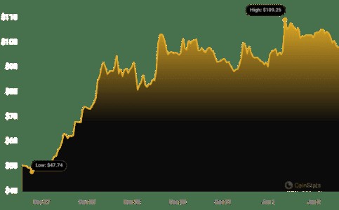 比特币SV（BSV）价格飙升超过110%，是时候投资了吗？