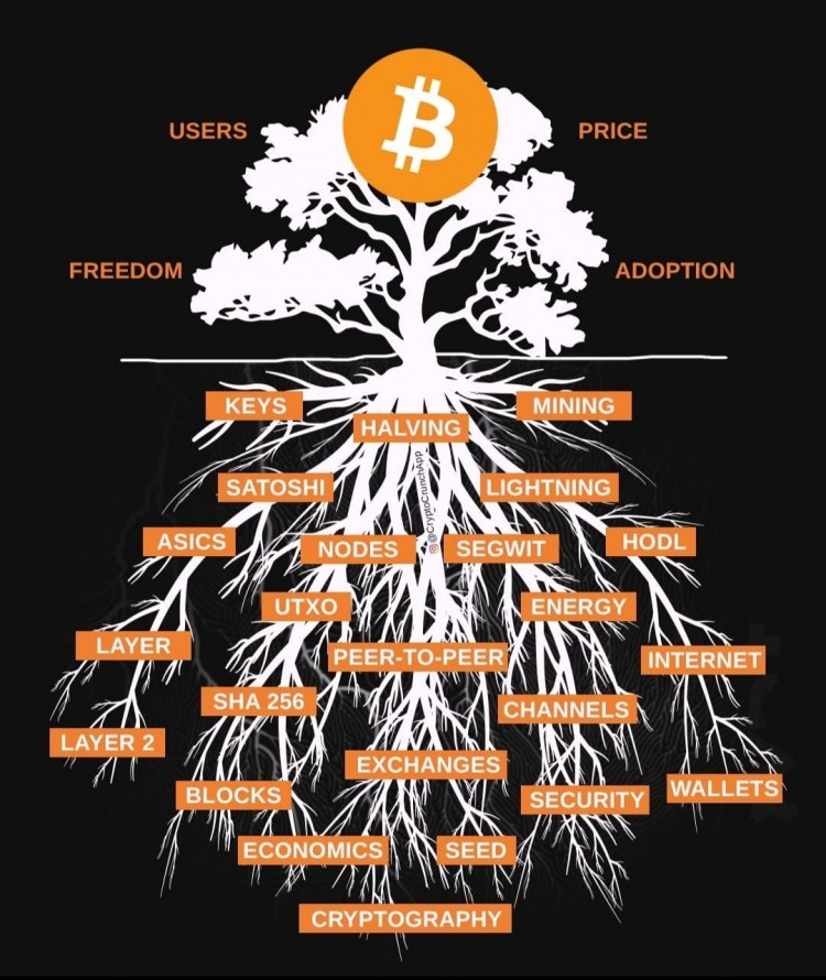 Bitcoin: Revolutionizing Finance with Decentralization and Transparency