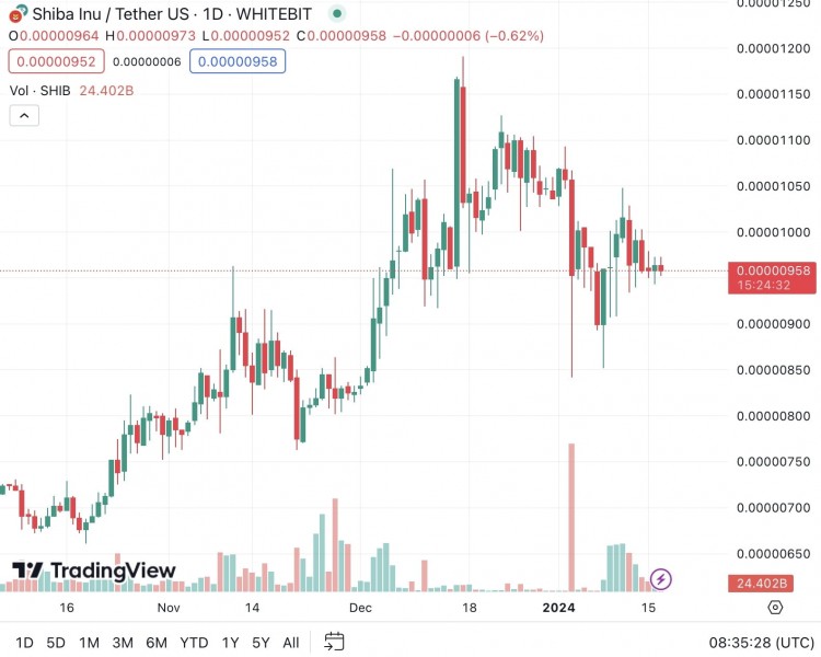 柴犬价格下跌：SHIB价格的走势分析