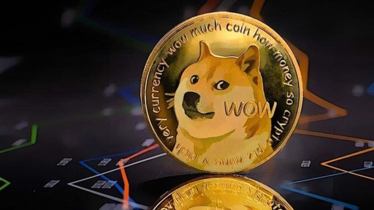 【Top Doge 币午餐时间1000美元投资如何收益？】