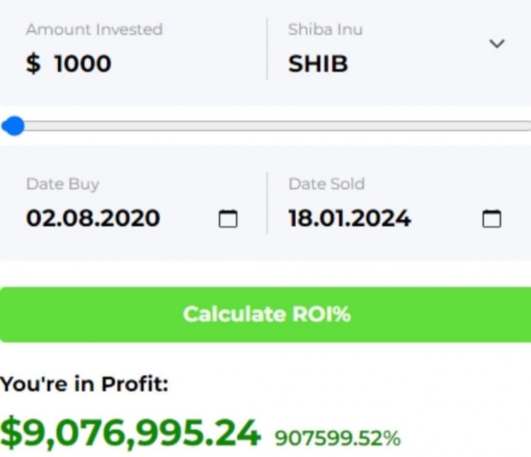 2024年前，Shiba Inu：1000美元投资变成900万美元，SHIB价格波动对投资组合的影响