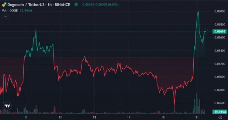 狗狗币逆势上涨7