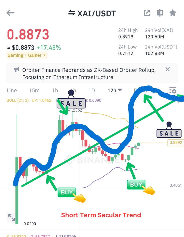 投资未来百万富翁，XAI价格预测及趋势分析，关注2025年价格预测和2030年展望。