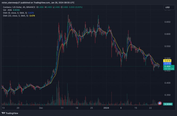 XRPADAAVAXDOT和TON下周预测价格分析